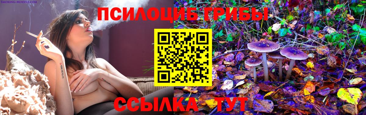 Псилоцибиновые грибы прущие грибы  Псилоцибиновые грибы GOLDEN TEACHER  Вход с VPN  Армавир 