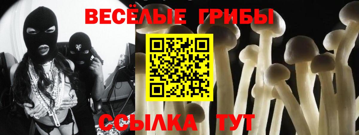 Псилоцибиновые грибы мицелий Армавир