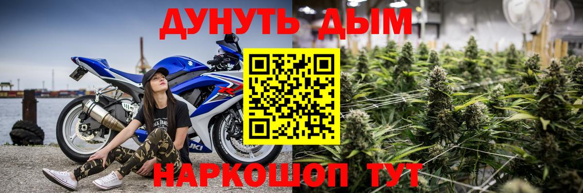 Канабис семена Армавир